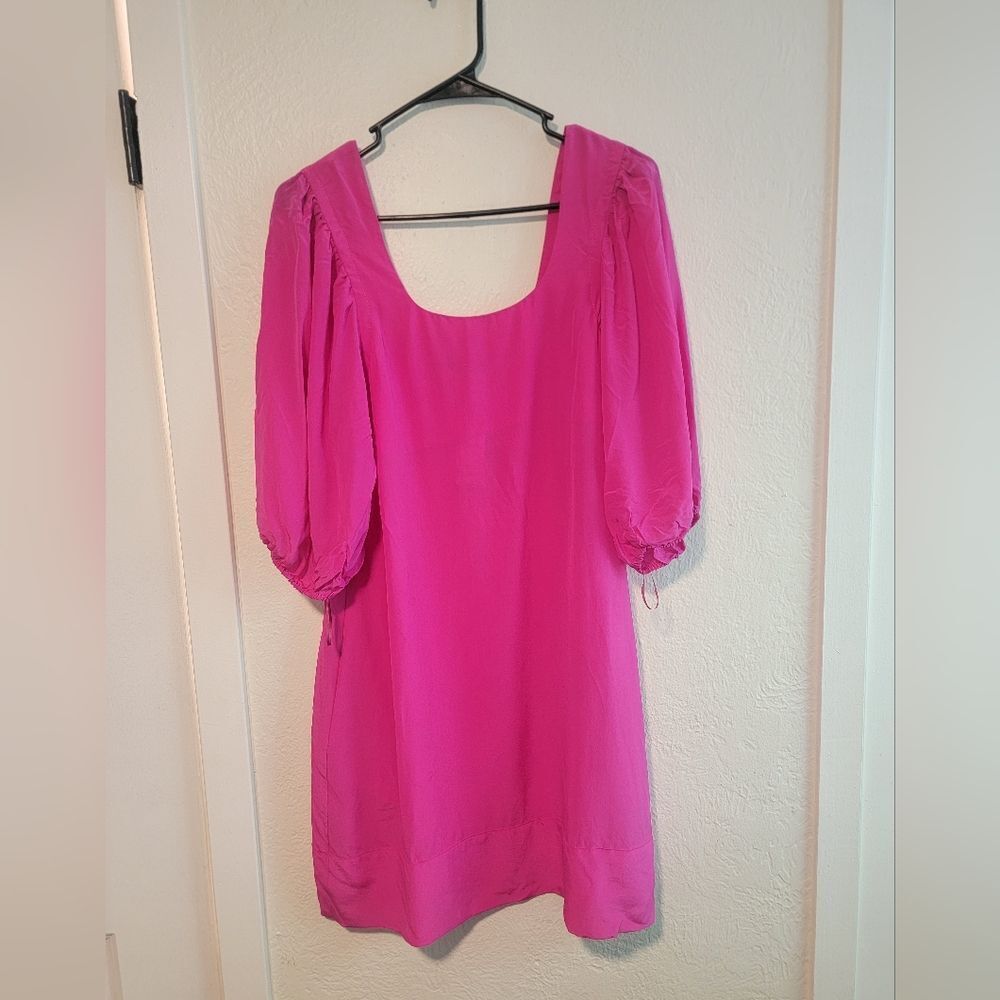 Express 100% Silk Puff Sleeve Pink Shift Dress Medium